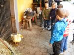 pri_juretu5